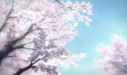 樱花动漫官网,探索日本动漫文化的魅力之门